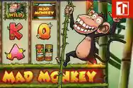 Mad-Monkey
